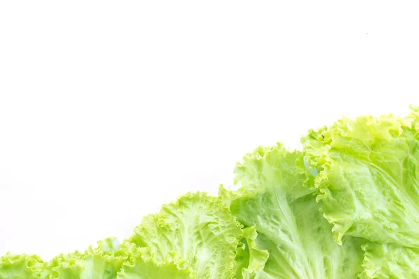 Leaf lettuce isolated on white — Stock Photo, Image