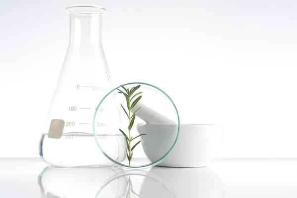 Laboratorio e ricerca con erboristeria alternativa — Foto Stock