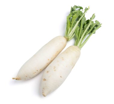 beyaz izole daikon turp 