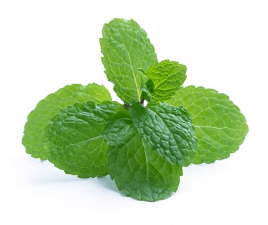 İzole üzerinde beyaz taze çiğ nane yaprakları