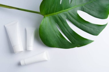 Güzel doğal kozmetik ve ışık yapraklarda