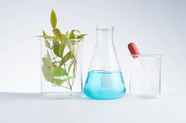 bitkisel ilaç doğal organik ve bilimsel cam ürünleri