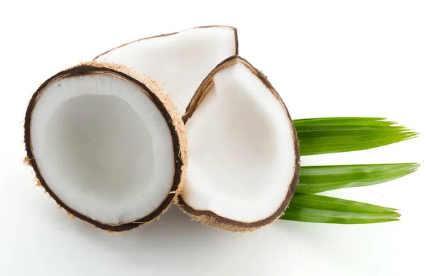 Kokosy z liści na białym tle — Zdjęcie stockowe