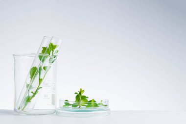 bitkisel ilaç doğal organik ve bilimsel cam ürünleri