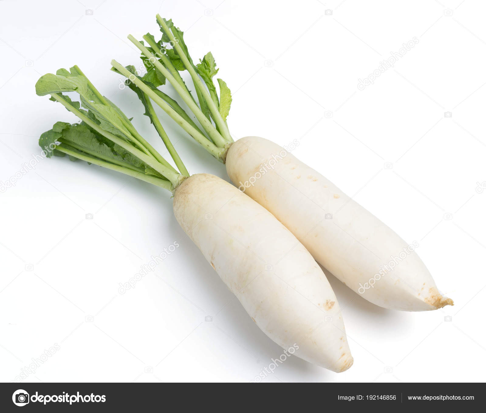 Daikon radishes isolated on white Stock Photo by ©onairjiw 192146856