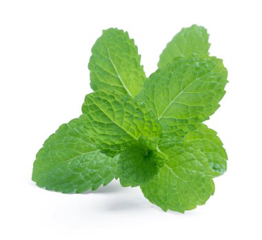 İzole üzerinde beyaz taze çiğ nane yaprakları