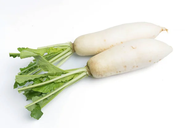 Daikon radijs op wit wordt geïsoleerd — Stockfoto