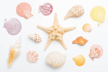 yaz plaj aksesuarları beyaz