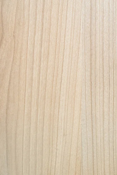 Textuur van houten achtergrond close-up — Stockfoto