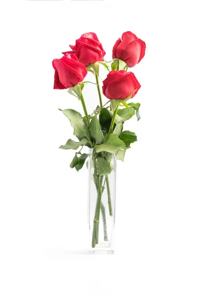 Όμορφα Κόκκινα Τριαντάφυλλα Λευκό Φόντο — Φωτογραφία Αρχείου