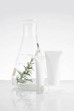 Alternatif bitki ilacıyla laboratuvar ve araştırma doğal cilt bakımı