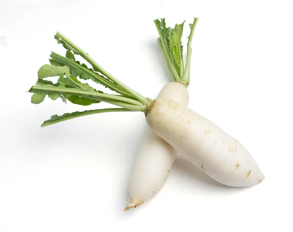 Rábanos Daikon Aislados Sobre Fondo Blanco — Foto de Stock