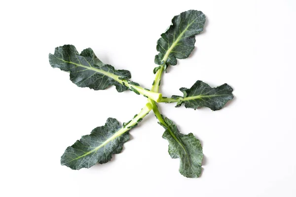 Broccoli lämnar isolerade på vitt — Stockfoto