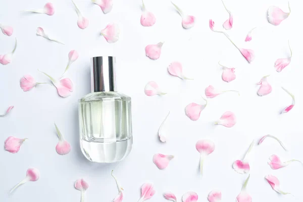 Flacons de parfum et œillets roses sur fond blanc — Photo