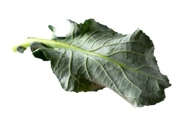 yaratıcı kavram uçan brokoli beyaz izole yaprakları