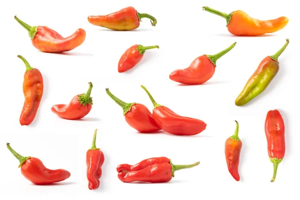 Kolekcja czerwona gorąca papryka chilli na białym — Zdjęcie stockowe