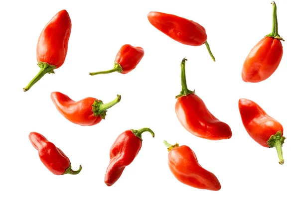 Conceito criativo voar chili vermelho no branco — Fotografia de Stock