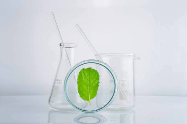 bitkisel ilaç doğal organik ve bilimsel cam ürünleri