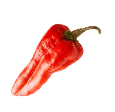 beyaz kırmızı biber uçan yaratıcı kavram