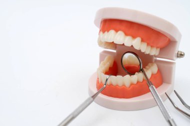 Teeth model and dentist tool on white