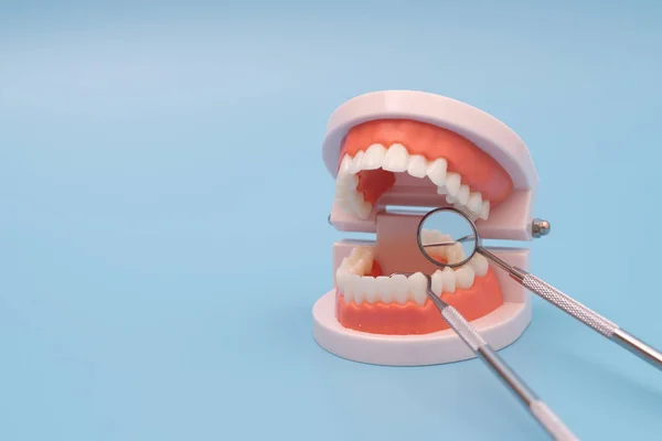 Teeth model and dentist tool on blue — Stockfoto