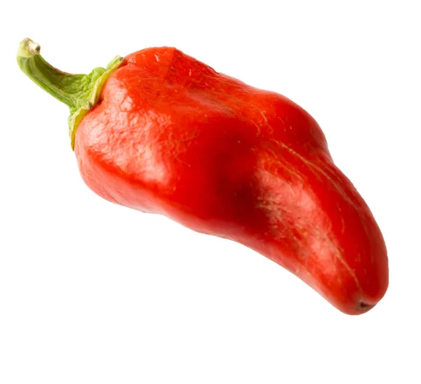 Kreativní koncepce létání s červeným chilli papričkami na bílém — Stock fotografie