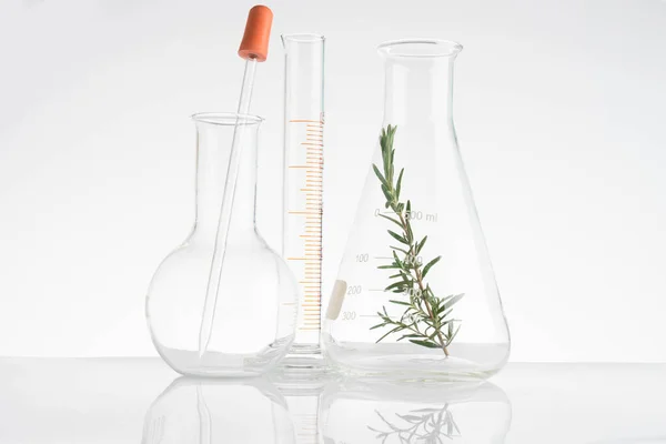 Laboratorio e investigación con hierbas medicinales alternativas — Foto de Stock