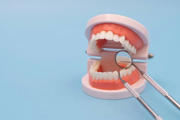 Teeth model and dentist tool on blue background