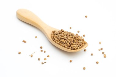 Kurutulmuş kişniş tohumları beyaz arka planda ahşap kaşık