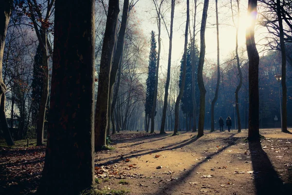 Kışın eğlenmek için huzurlu bir park.