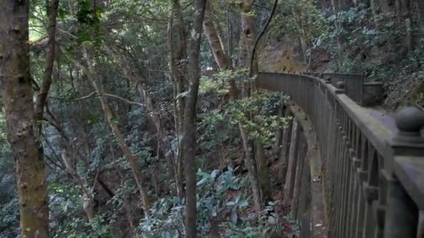 Atractiva chica mixta en el puente de montaña vacío se asusta y se escapa — Vídeo de stock