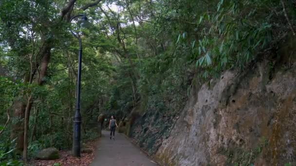 Attrayant Girl Walks on Eerie Mountain Path Obtient peur et s'enfuit — Video