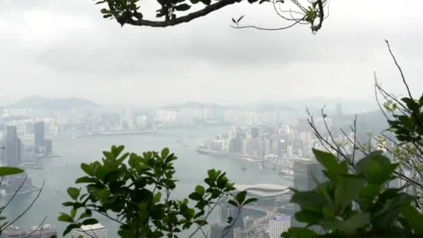 Zoom Vista de Hong Kong Victoria Bay desde una colina a través de árboles en un día nublado 4k — Vídeos de Stock