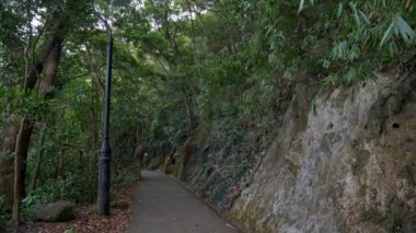 4k 'lık lamba direğiyle ürkütücü boş dağ yolu.