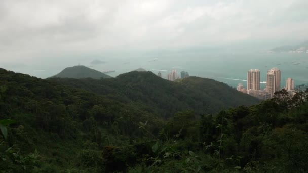 Vista de Hong Kong y Victoria Bay desde una colina en un día nublado 4k — Vídeo de stock