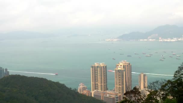 Άποψη του Χονγκ Κονγκ και Victoria Bay με πολλά σκάφη από Hill σε μια νεφελώδη ημέρα 4k — Αρχείο Βίντεο
