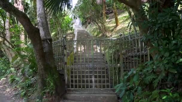 Porta panoramica chiusa con scale dietro circondato da alberi e erba su una collina 4k — Video Stock