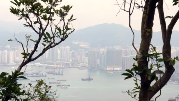 Vista de Hong Kong Victoria Bay desde una colina a través de árboles en un día nublado 4k — Vídeos de Stock