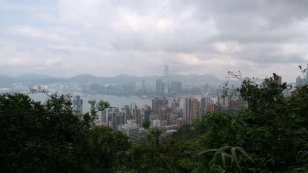 Vista de Hong Kong de uma colina através de folhas em um dia nublado 4k — Vídeo de Stock