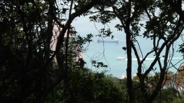 Vue d'un bateau quittant un sentier de colline à travers les feuilles sur un jour nuageux 4k — Video