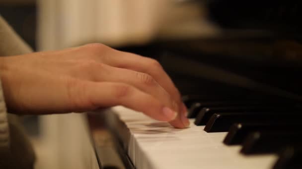 Woman Playing Fast Melody Hands Closeup 4k — Stock Video