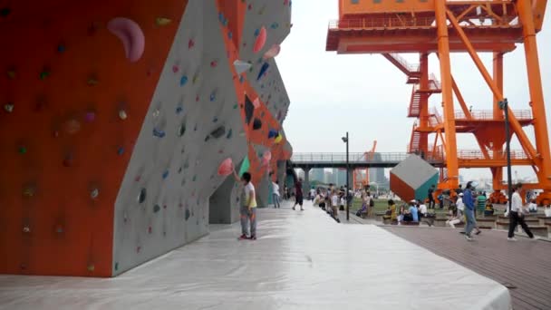 Niños juegan en un parque de escalada exterior en Shanghai 4k Daytime — Vídeo de stock