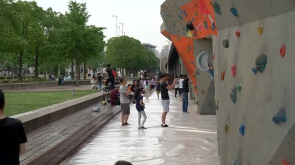 People Climbing at an Outside Rock Climbing Park in Shanghai 4k — 비디오