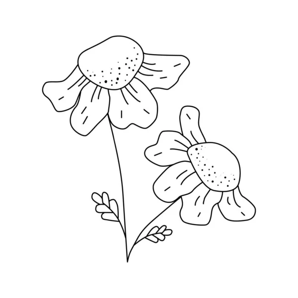 Jednou rukou nakreslil heřmánkový květ. Jednoduché obrysové znázornění izolované na bílé. Vektorový květ. Bylinkový květ. Květinový clipart element pro karty, tisky, samolepky. Skladový vektorový obrázek. — Stockový vektor