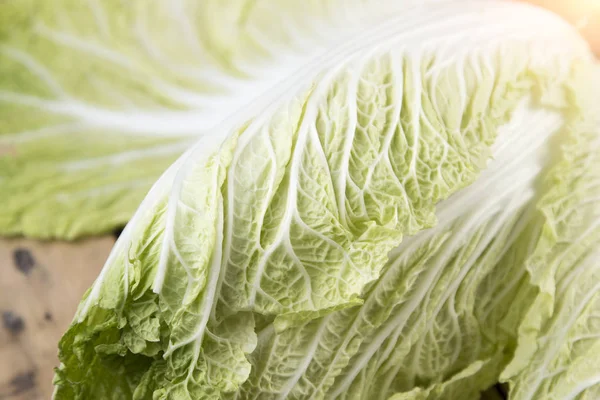Close up Chinese cabbage on wooden table. — Stock Photo, Image