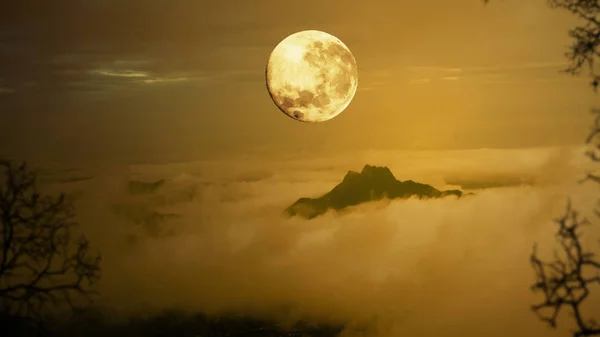 Cielo dramático con árboles, luna llena, niebla y nubes sobre la montaña , —  Fotos de Stock