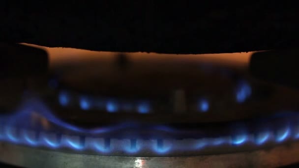 Closeup fire from gas kitchen stove. — Stock Video