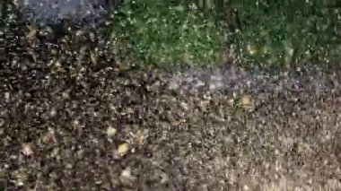 Kadar su fıskiye, koyu arka planı kapat.