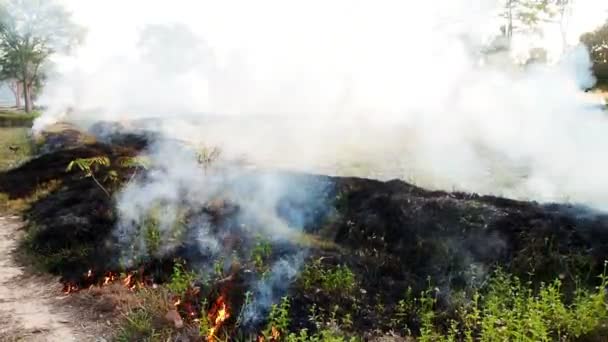 Fuego y humo ardiendo en el campo de hierba . — Vídeo de stock