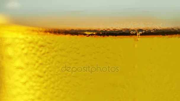 Pivo abstraktní zlaté žluté bubliny pozadí. — Stock video